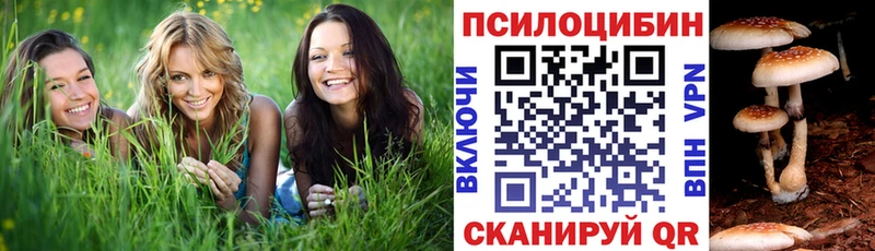 цены наркотик  Курганинск  Галлюциногенные грибы мицелий 