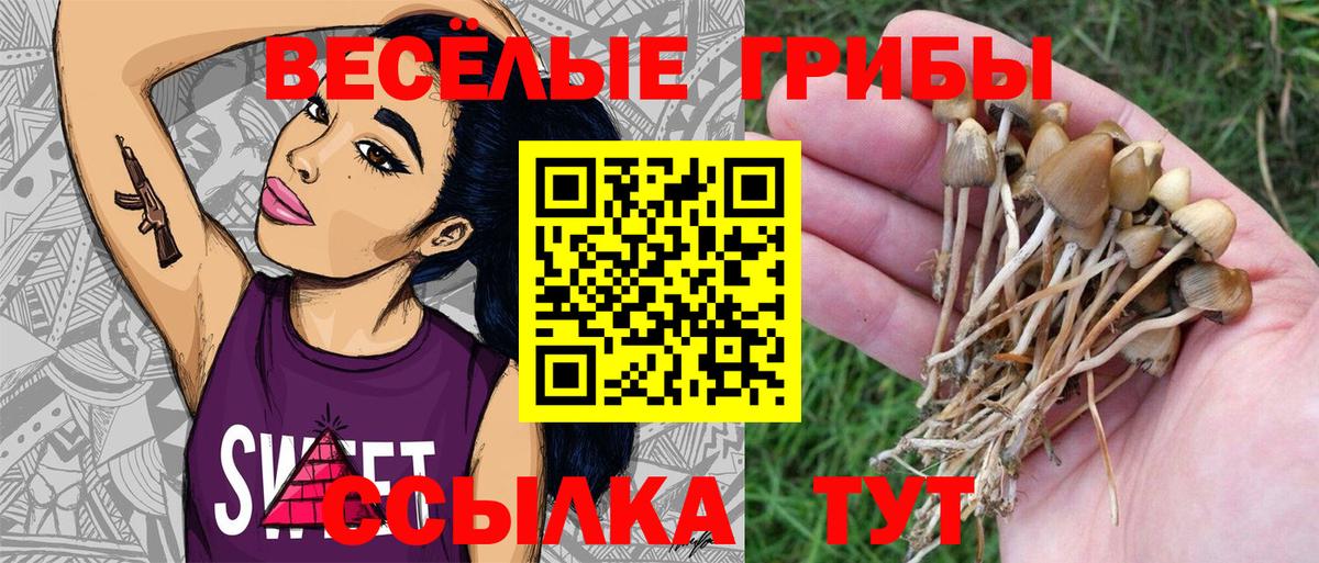 Курганинск  Галлюциногенные грибы GOLDEN TEACHER  Псилоцибиновые грибы мицелий  закладка  Вход с VPN 